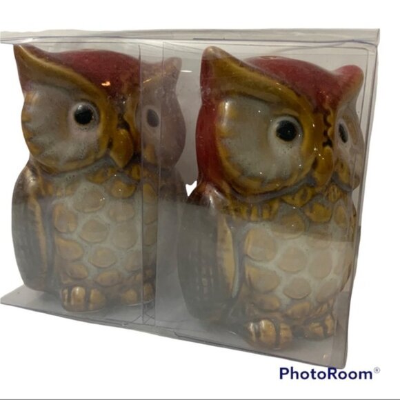 Owl Salt and Pepper Shakers Hand Painted Ceramic Rustic Farmhouse Decorative Set - Picture 9 of 14
